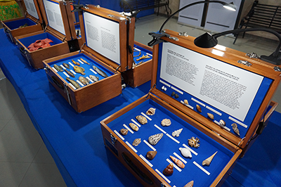 モバイルミュージアムで地方の教育機会を創出し、ジェンダーなどの多様性の要素も加える