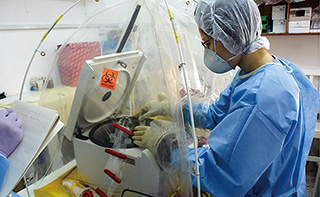 安全性確保のため、グローブアイソレータ内で、エボラ患者の血液サンプルを取り扱う