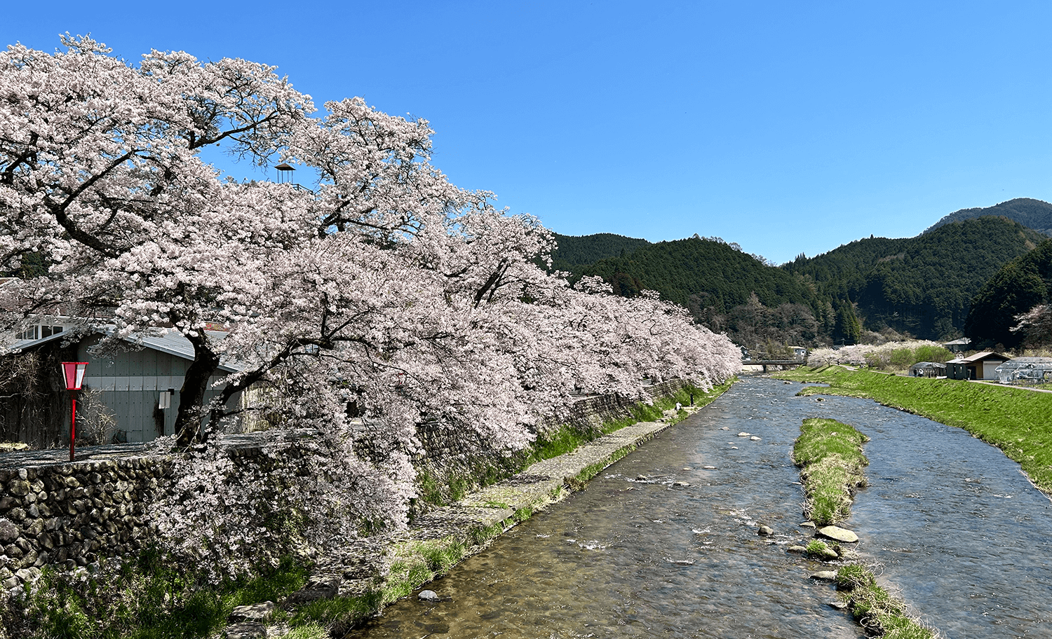 美甘を象徴する春の景色